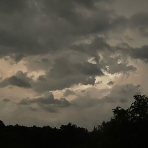 Meet your Posher, Trinity